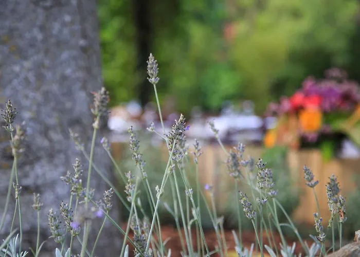 Podere La Miniera Relax & Food Siena